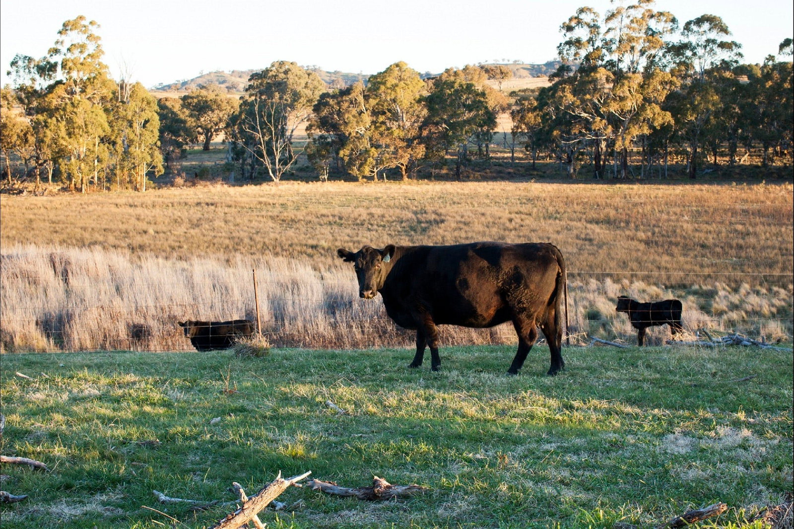 Meroo NSW Accommodation Melbourne