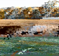Lone Pine Homestead - Melbourne 4u