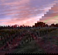 Milawa Vineyard Views - Accommodation Melbourne