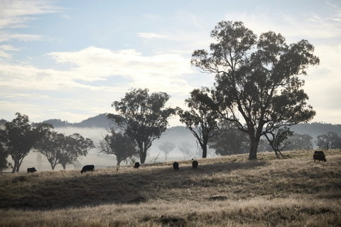 Rosby Guesthouse And Studio - Accommodation Melbourne 4
