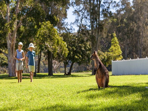The Basin Campground - Accommodation Melbourne 4