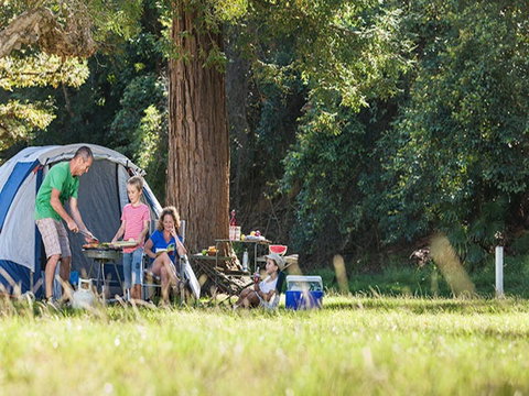 The Basin Campground - Accommodation Melbourne 5