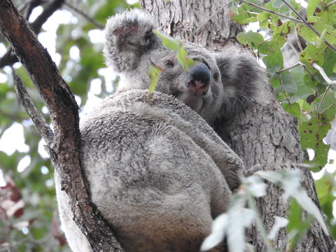 Twilight Grove Farm Bed And Breakfast - Accommodation Melbourne 1