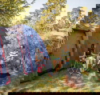 Village campground - Accommodation Melbourne