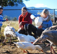 Cedar Glen Farmstay - Accommodation Melbourne