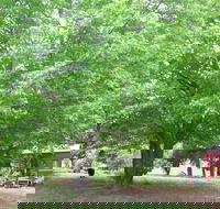 Hill End Holiday Ranch - Melbourne 4u