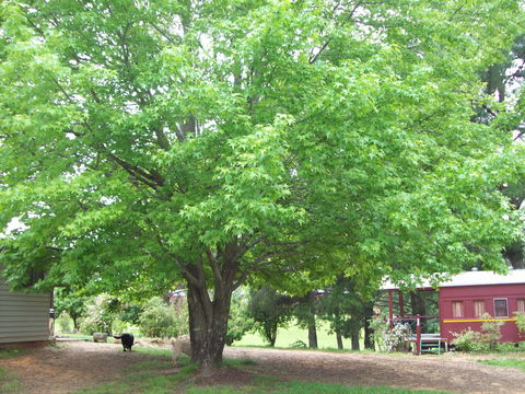 Hill End Holiday Ranch - Melbourne 4u 0