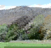 Jessica's Guest House and Vineyard - Melbourne 4u