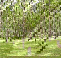 Nymboida River campground - Accommodation Melbourne