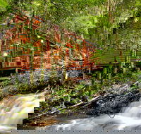 The Mouses House - Rainforest Retreat - Accommodation Melbourne