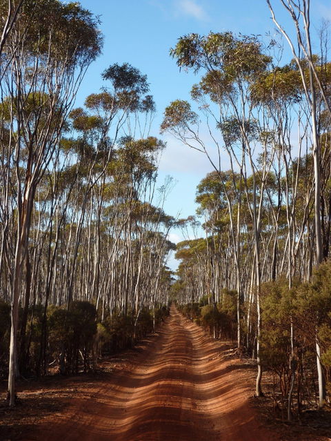 Victoria Rock Camp At Goldfields Woodlands National Park - Accommodation Melbourne 0