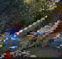 Zeehan Bush Camp - Accommodation Melbourne