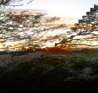 Annie's Place Bed and Breakfast - Accommodation Melbourne