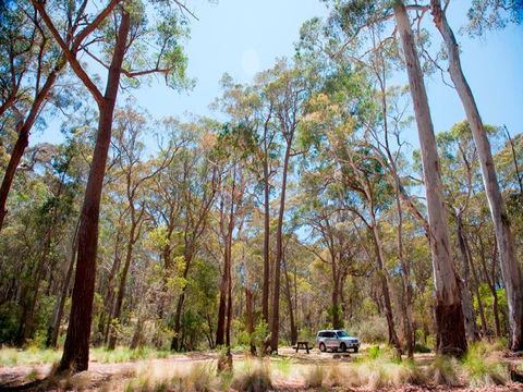 Coolah Tops National Park Camping - Accommodation Melbourne 0