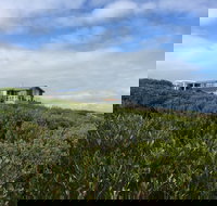 Taraki Lodge - Accommodation Melbourne