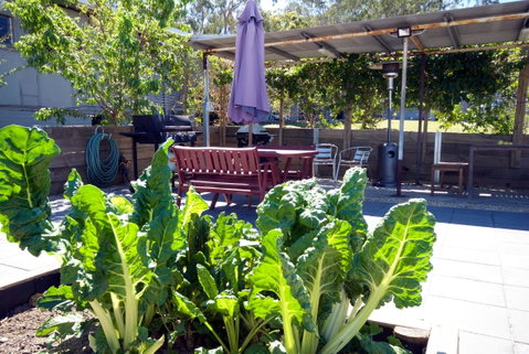 The Jabiru Motel - Accommodation Melbourne 2