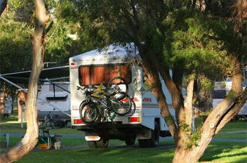 BIG4 Albany Gardens Holiday Resort - Melbourne 4u 3