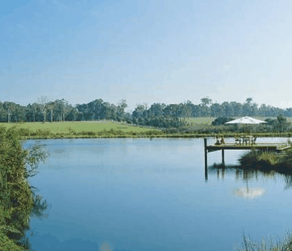 Forest Rise Eco Retreat - Accommodation Melbourne