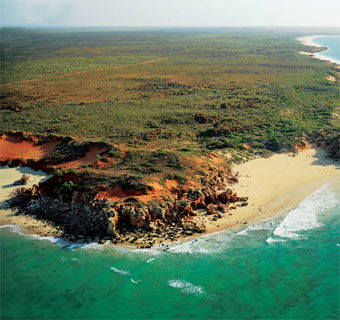 Eco Beach Wilderness Retreat - Accommodation Melbourne 2