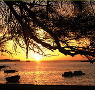 Pelican's Nest - Accommodation Melbourne