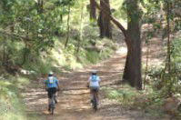 Craigmhor Mountain Retreat - Accommodation Melbourne 2