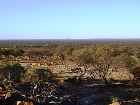 Wogarno Homestead - Melbourne 4u 2