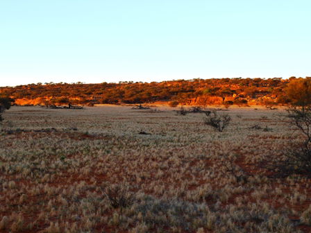 Wogarno Homestead - Melbourne 4u 5