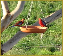 Henlie Park Bed & Breakfast - Accommodation Melbourne 3
