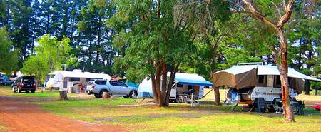 Fontys Pool Caravan Park - Melbourne 4u 1