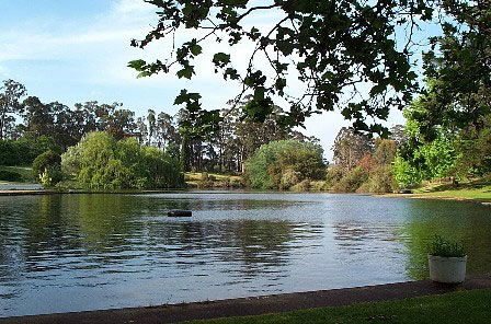 Fontys Pool Caravan Park - Melbourne 4u 3