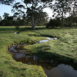 Bolganup Homestead - Melbourne 4u 3