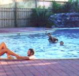 Shark Bay Caravan Park - Accommodation Melbourne