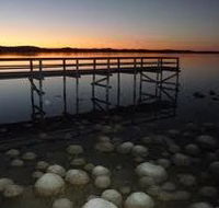 Lake Clifton Caravan Park - Accommodation Melbourne