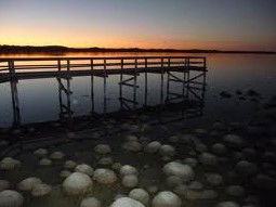 Lake Clifton Caravan Park - Accommodation Melbourne 0