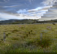 Annas Retreat - Accommodation Melbourne