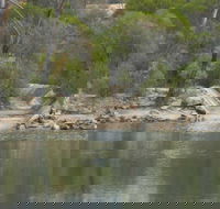Boondi Rock Camp at Goldfields Woodlands National Park - Accommodation Melbourne