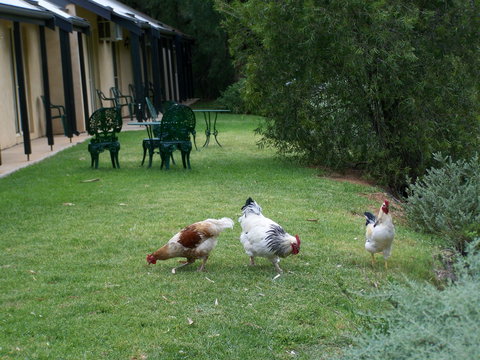 Burra Motor Inn - Accommodation Melbourne 2