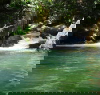 Daintree Secrets Rainforest Sanctuary - Accommodation Melbourne