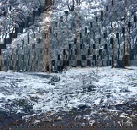 High Peaks Cottages - Accommodation Melbourne