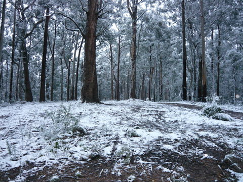 High Peaks Cottages - Accommodation Melbourne 0