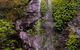 Nimbin Waterfall Retreat - thumb 0