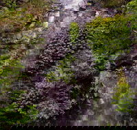 Nimbin Waterfall Retreat - Accommodation Melbourne