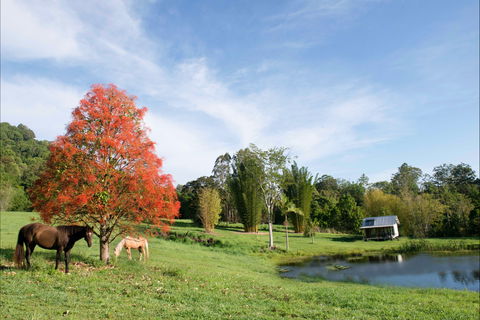 Nimbin Waterfall Retreat - Accommodation Melbourne 1