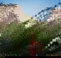 Sandstone Park Carnarvon Gorge - Accommodation Melbourne