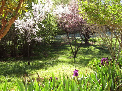 Sofala Cottage - Accommodation Melbourne 0