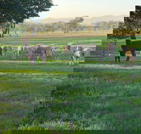 Wallinga Studio Farmstay - Melbourne 4u