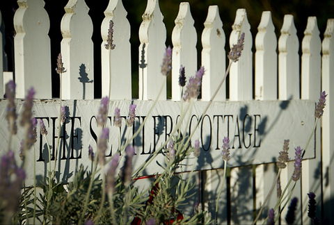 Mayfield Vineyard Cottages - Accommodation Melbourne 0