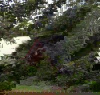 Turkeys Nest Rainforest Cottages Mt Glorious - Accommodation Melbourne