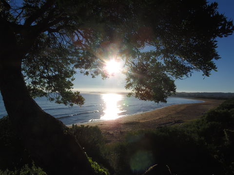 Apex Beachside Holiday Park - Accommodation Melbourne 1