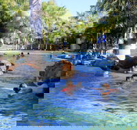 Big4 Aussie Outback Oasis Holiday Park - Accommodation Melbourne